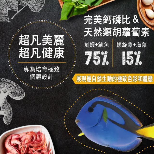 【鮮蝦食譜】小型挑嘴海水熱帶魚-全營養魷魚大蒜鮮蝦堡330ml(小丑魚飼料 海水魚飼料 海水魚)