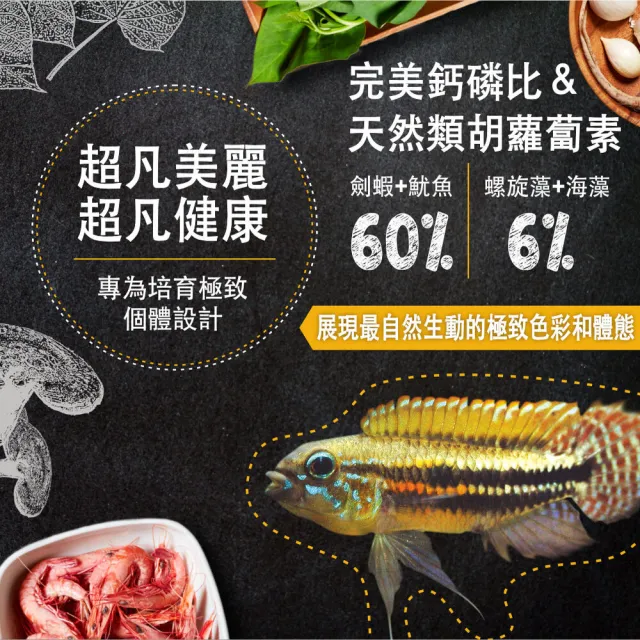 【鮮蝦食譜】挑嘴野生中型熱帶魚-全天然蛋白魷魚大蒜蝦肉堡1150ml(短鯛飼料 神仙魚飼料 燈科魚飼料 七彩魚)