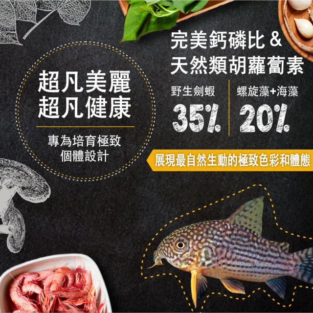 【鮮蝦食譜】挑嘴鼠魚&肉食異形-全營養鮮嫩蔬菜蝦肉派120ml(鼠魚飼料 異形飼料 底棲魚飼料 肉食性底棲魚)