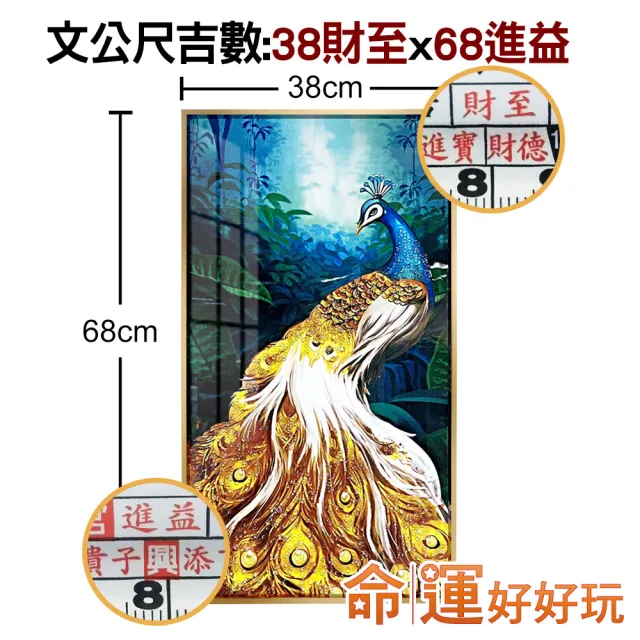 【命運好好玩】湯鎮瑋-錢程似錦孔雀晶鑽畫