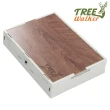 【TreeWalker】側開折疊收納箱-50L(兩入組)