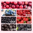 【久保雅司】美國VitaCran蔓越莓IS-2活菌王10入(15包/盒)