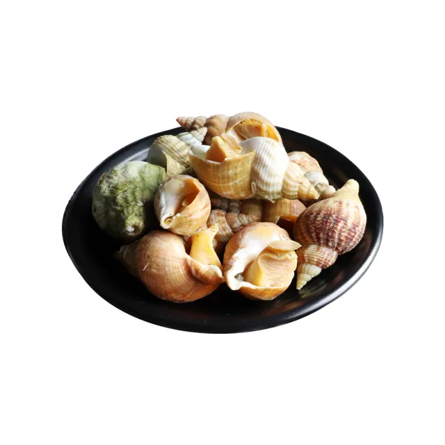 【築地一番鮮】法國野生船凍格蘭維爾海螺5包(300g/約15顆-附獨家沾醬)