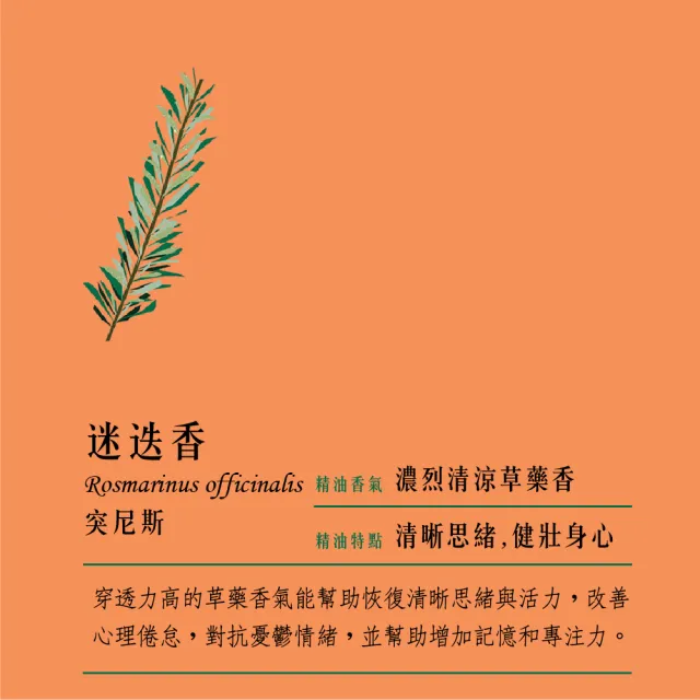 【愛爾蘭-自然之事】】100%有機迷迭香單方純精油12ml - 沁鼻草香(☆記憶/腦力/專注☆防蚊蟲)