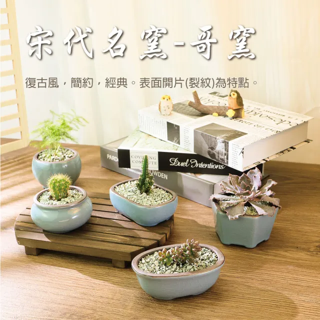 【園藝蒔光】哥窯陶瓷盆五款組(園藝 盆裁 多肉 植物 仙人掌 陶盆)