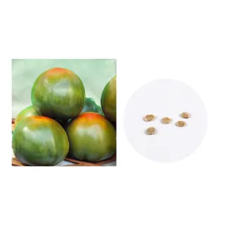 【蔬菜工坊】G33-1大番茄種子(勇夏)