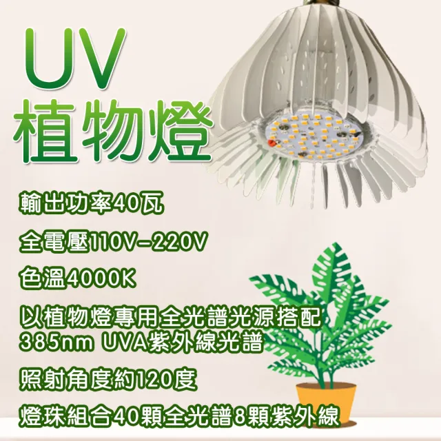 【JIUNPEY 君沛】40W 紫外線UV全光譜 E27植物燈泡(植物生長燈)