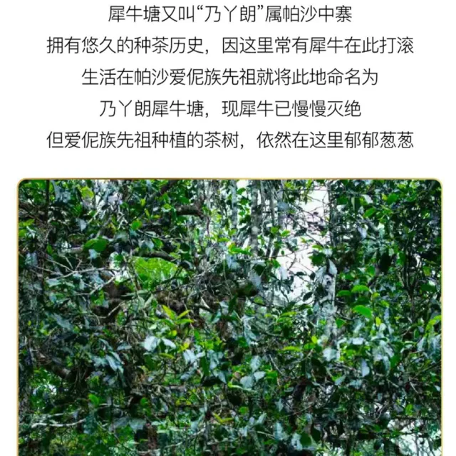 【盛嘉源】犀牛塘 2015(普洱茶   生茶 357g)