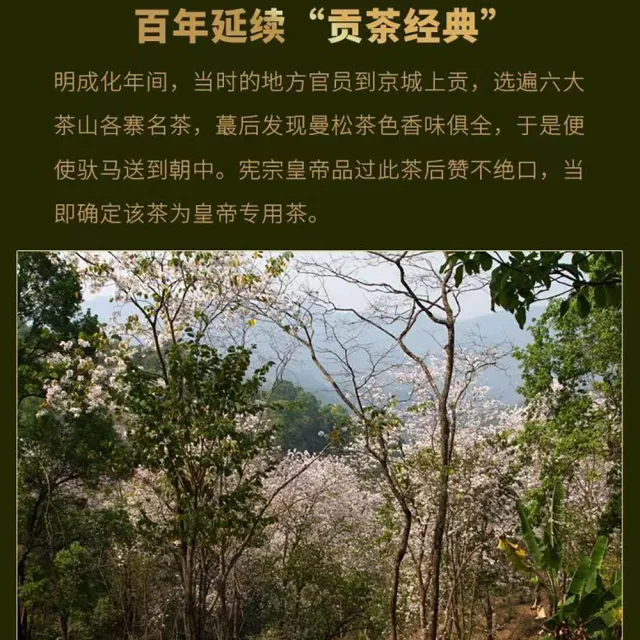【盛嘉源】曼松 2016(普洱茶   生茶 357g)