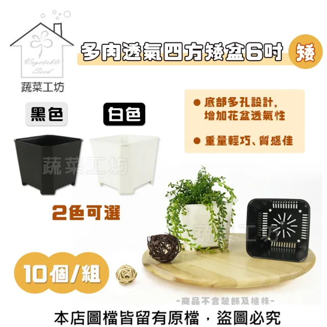 【蔬菜工坊】多肉透氣四方矮盆6吋-矮- 10個/組(黑色.白色可選)