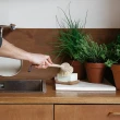 【Andree Jardin 法國手工刷具】櫸木長柄餐具刷 植物纖維硬刷毛(鍋具餐具通用刷)