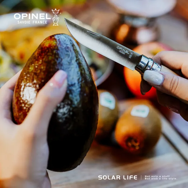 【OPINEL】Picnic+ 游牧湯叉組/含No.08不鏽鋼折刀/收納布 OPI_002500(刀叉湯匙組 野營刀露營刀)