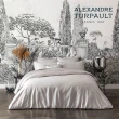【Reve】Alexandre Turpault Teophile 素色有機棉加大床包(加大186x180cm)