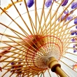 【亞柏林】芝蘭清香-純手工油紙傘 工藝傘 裝飾傘 古典花傘(純手工油紙傘)