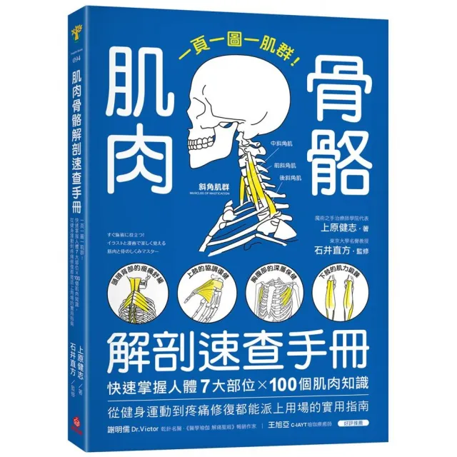 肌肉骨骼解剖速查手冊：一頁一圖一肌群！快速掌握人體7大部位x100個肌肉知識 從健身運動到疼痛修復都能派上 | 拾書所