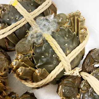 【RealShop】正宗活體江蘇公蟹紅膏大閘蟹A級 20隻入(每隻約5-5.6兩 不含繩重 死蟹包換 真食材本舖)