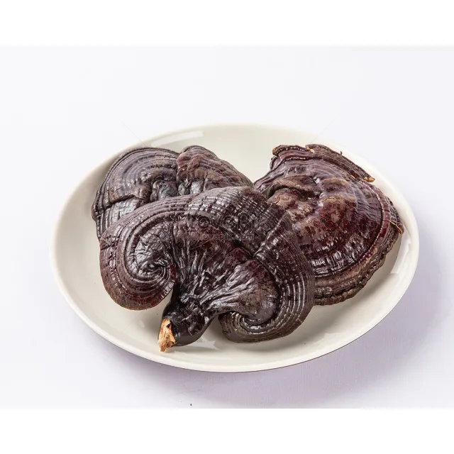 【亞源泉】特級野生紫靈芝500g 1包(贈亞源泉系列商品2包)