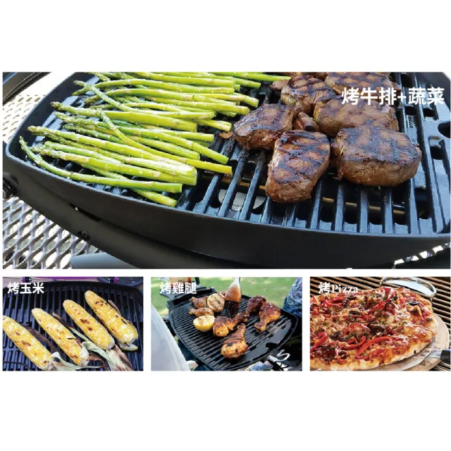 【WEBER 威焙】可攜帶式萬用瓦斯燜烤爐Q2200(美國暢銷第一BBQ烤肉品牌)