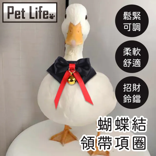 【Pet Life】柯爾鴨寵物鴨鸚鵡小鳥蝴蝶結領帶項圈