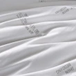 【Betrise】德國銀離子防蹣抗菌- 100%天然手工長纖蠶絲被(雙人6X7尺)