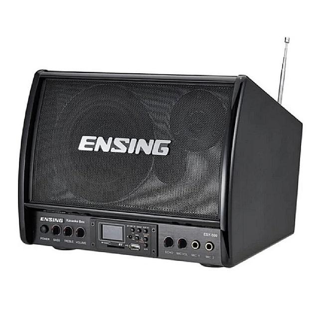 ENSING燕聲 ESY-500W