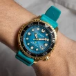 【CITIZEN 星辰】PROMASTER 200米光動能潛水男錶 手錶(BN0162-02X 慶端午/指針手錶/包粽)
