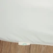 【青鳥家居】物理性防潑水抗靜電防螨透氣鋪棉床包式保潔墊(雙人)