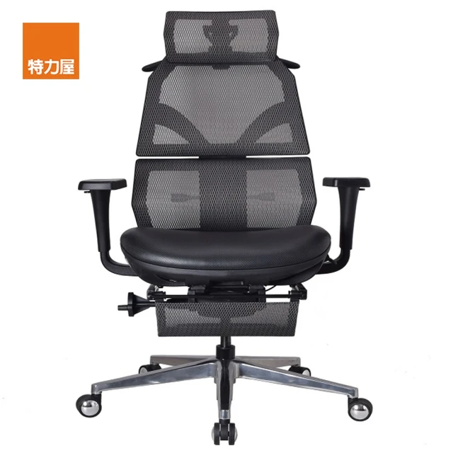 【特力屋】艾索人體工學椅 電腦椅 ESCL-A77 灰色 頭層牛皮質座椅