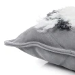 【Finara 費納拉】甜蜜雪納瑞 澳洲羊毛牛皮混搭抱枕(45x45 cm)