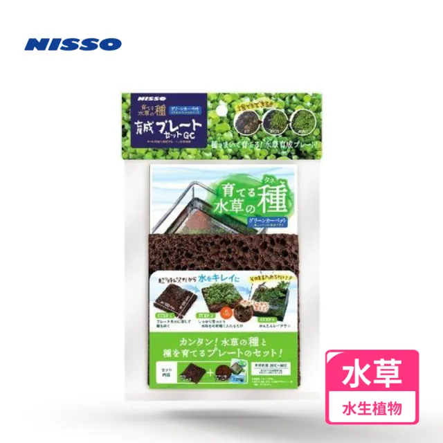 【NISSO 尼索】珍珠草培養石片(前景草 南美草 天然水草 莫絲)