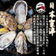 【一手鮮貨】日本原裝生食級牡蠣_L(30顆組/L單顆80-100g)