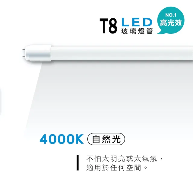 【旭光】LED T8燈管 T8 4呎 20W 全電壓 日光燈管 省電燈管(10入組)