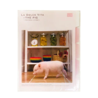 【台隆手創館】福利品 5層資料夾-THE PIG客廳