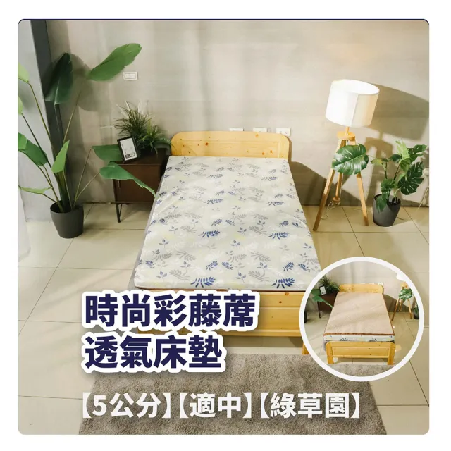 【BOSS BEDDING 小老闆寢具】單人3尺冬夏炫彩亞藤透氣5公分床墊(折疊床｜雙層床｜薄床墊｜宿舍床｜露營床)