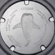 【CITIZEN 星辰】PROMASTER系列 1982復刻光動能鯨鯊限定 潛水腕錶 母親節 禮物(BN0225-04L)