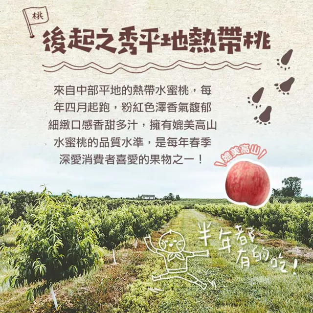 【享吃鮮果】台灣鮮採水蜜桃10入x2箱(1kg±10%/箱)