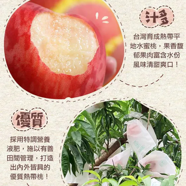 【享吃鮮果】台灣鮮採水蜜桃2箱(8入裝/1kg±10%/箱)