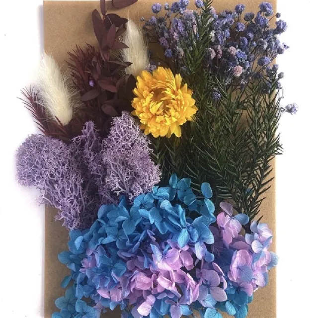 【BJ SHOP】乾燥花 量販包 浮游花 蠟燭 花藝材料包 蠟燭 乾花 居家裝飾(乾燥花  永生花)