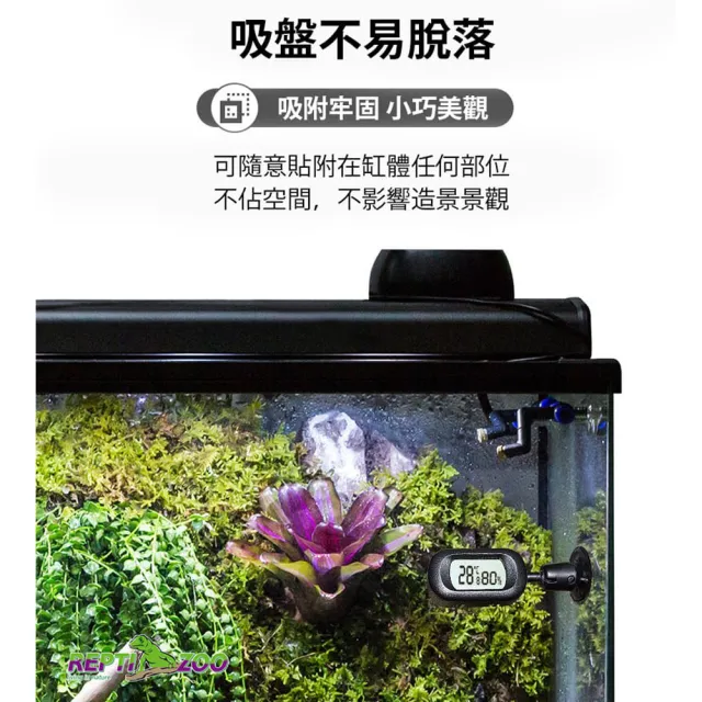 【REPTIZOO 瑞普】爬寵橫式溫濕度計(兩棲爬蟲、爬蟲用品、陸龜用品、鸚鵡用品)