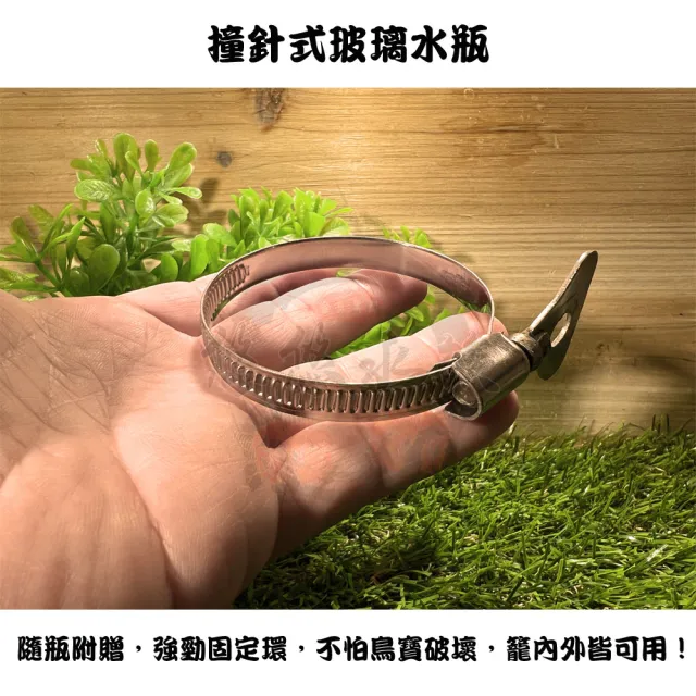 【YOYO 悠悠水族】撞針式玻璃水瓶_大號_二入組(鳥用品、鳥玩具、鸚鵡用品、鸚鵡玩具)