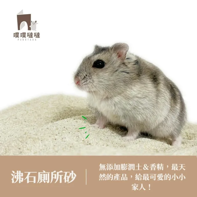 【PUBUTADA 噗噗噠噠】小動物用沸石廁所沙 2kg(倉鼠 吸臭 鼠砂 廁沙)