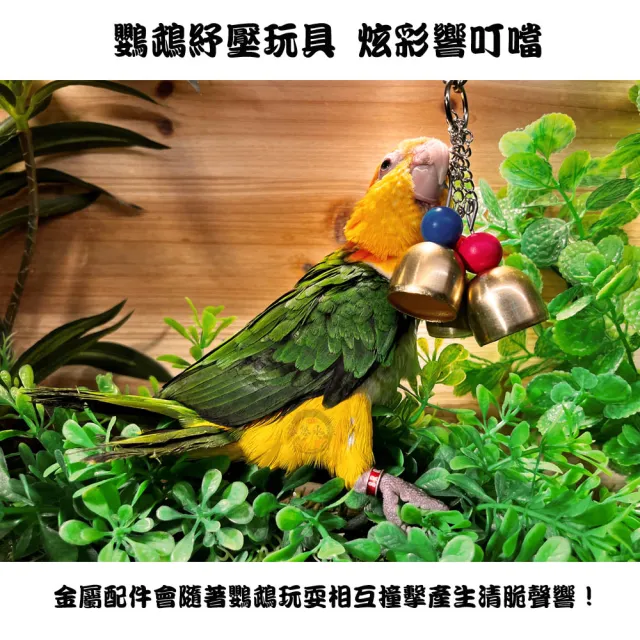 【YOYO 悠悠水族】炫彩響叮噹_三串組(鳥用品、鳥玩具、鸚鵡用品、鸚鵡玩具)