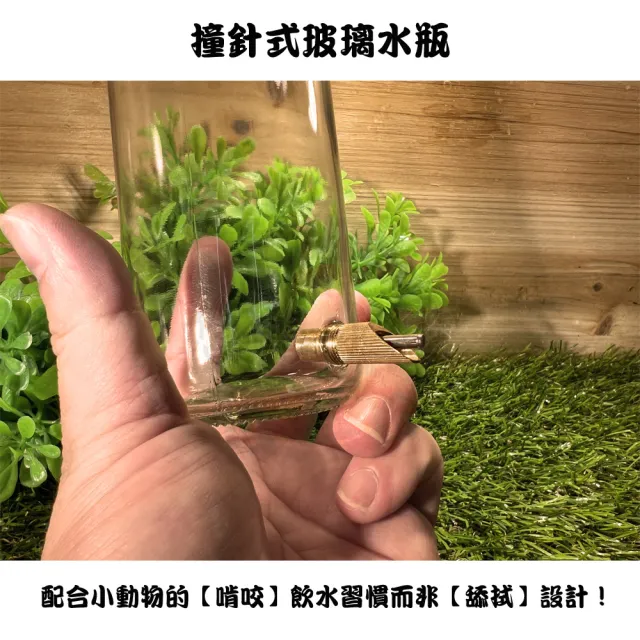 【YOYO 悠悠水族】撞針式玻璃水瓶_小號_二入組(鳥用品、鸚鵡用品、鸚鵡玩具、鳥窩、蜜袋鼯)