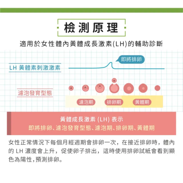 【新款小綠】排卵快速檢測試紙50包(獨立包裝)