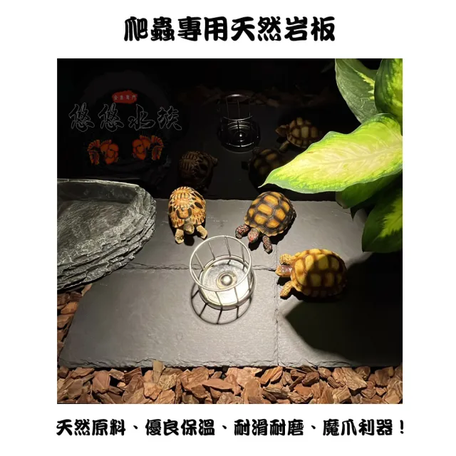 【YOYO 悠悠水族】爬蟲專用天然岩板_小號_二入組(兩棲爬蟲、爬蟲用品、陸龜用品、鸚鵡用品、寵物躲藏)