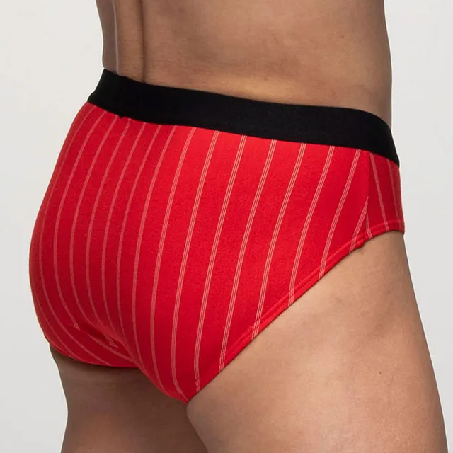 【Mr. DADADO】機能系列 M-3L貼身三角男內褲 超細莫代爾木漿纖維-GH2856RS(紅)