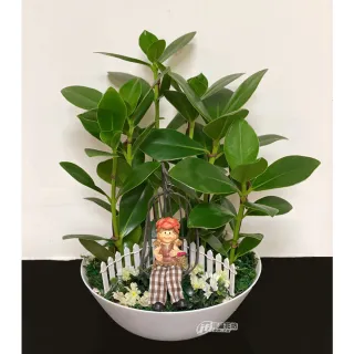 【偉盛花坊】書代木自在小園地(朋友．開幕．接待．佈置．桌上擺飾)