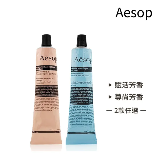 【Aesop】經典加倍柔嫩護手組(手部清潔露500ml+護手霜 75ml)