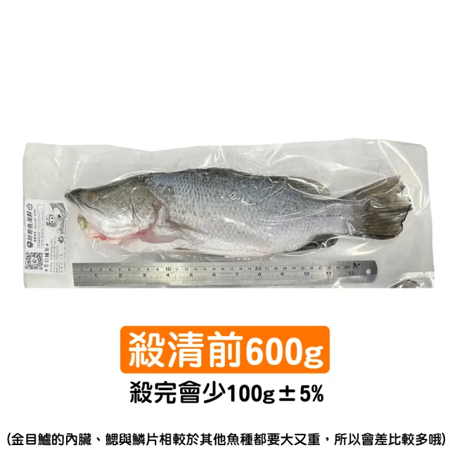 【一手鮮貨】台灣生態養殖金目鱸魚(2尾組/單尾殺清前600g)