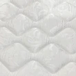 【ROOSEN 鹿森】台灣製造 蜂巢式防蹣乳膠獨立筒床墊 雙人5尺(ISO認證大廠/支撐耐用/透氣釋壓/10年保固)